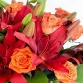 Autumnal Splendor: Lilies and Roses