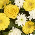 Warm Memories: Yellow Roses