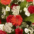 Flowered Path: Carnations and Gerberas