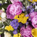 Festival de flores: 40 tallos variados