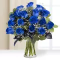 Guardando l'infinito: 17 rose blu