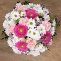 Cotton Candy: Gerberas and Carnations