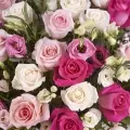 Elegant Meadow: Pink Roses