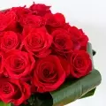 Amour Addictif : 25 Roses Rouges