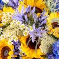 Sommerliche Inspiration: Rittersporne und Sonnenblumen