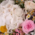 Bianco Cotone: Ortensie Bianche, Rose e Craspedie