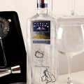 Gin Master : Gin Premium, Set de Shakers et Verres à cocktail
