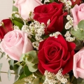 Süße Liebe: Rosen in Rot und Rosa