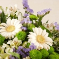 Bouquet Gerberas e Lisianthus