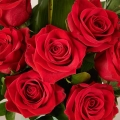 Min käraste: röda rosor