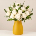Rose's Elegance: 12 Rosas Blancas