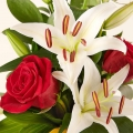 More Than Words: Red Roses and White Lilies