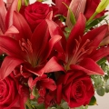 Samt: Rote Lilien und Rosen