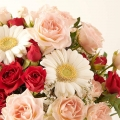 Mother's Love: Englische Rosen und Mini-Gerbera