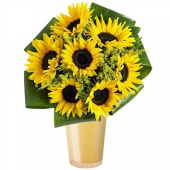 Girasoles Mágicos