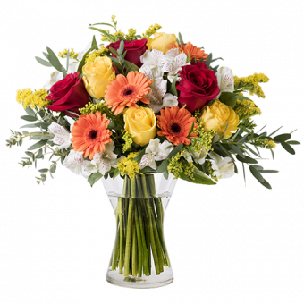 Energía Floral: Rosas y Gerberas
