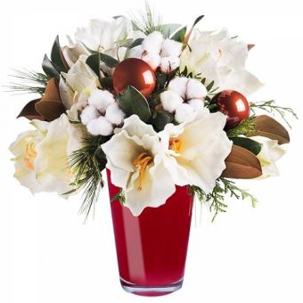 Hada: Amaryllis y Algodón