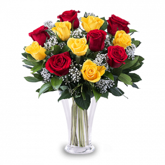 Flamenco: Rose Rosse e Gialle