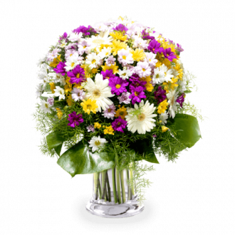 Wahnsinnige Gänseblümchen: Gemischte Blumen