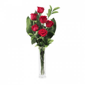 Love Hypnosis: 6 Red Roses