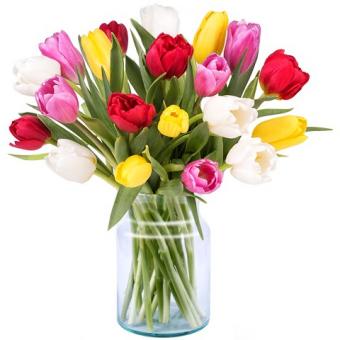 Delizia Primaverile: 20 Tulipani Misti