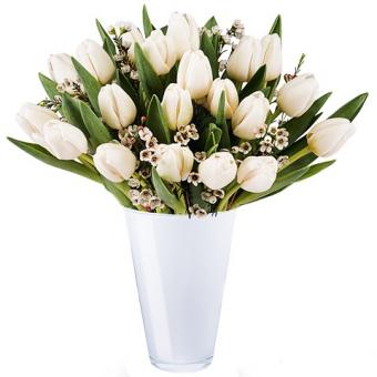 Sérénité : 20 Tulipes Blanches