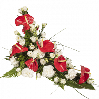Arrangement rouge Anthurium