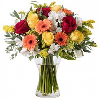Energia: Mix di Fiori Arancioni