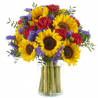 Breath Of Colour: Sunflowers and Carnations