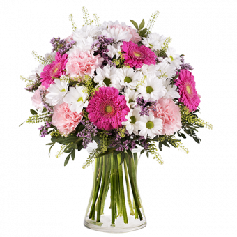 Cotton Candy: Gerberas and Carnations