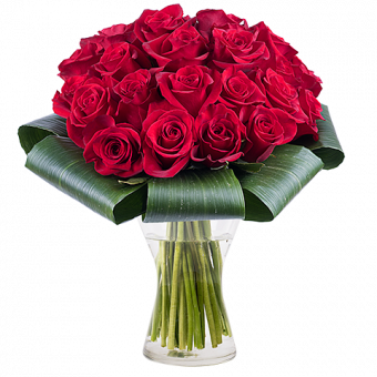 Amour Addictif : 25 Roses Rouges