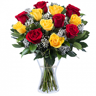 Flamenco : Roses Rouges et Jaunes