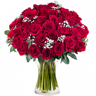 Burgundy Passion: 35 Red Roses