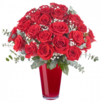 Lavish Love: 24 Red Roses