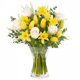Réconfort Familial : Tulipes et Jonquilles Jaunes