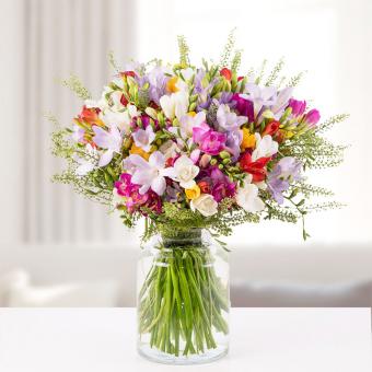 Pradera: Freesias Multicolor