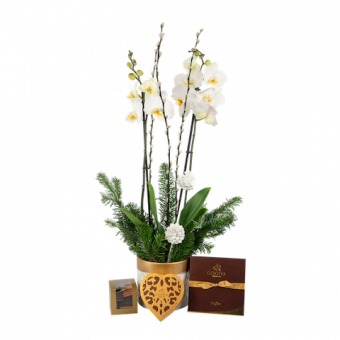 Set Orquídea de Navidad