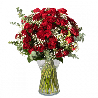 Bohème: Rose Rosse e Gipsofila