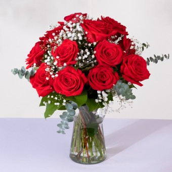 Amor Clásico: 12 Rosas Rojas