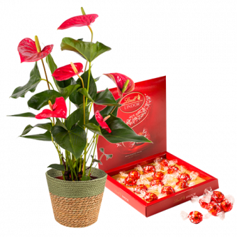À Coeur Joie : Anthurium et Chocolats