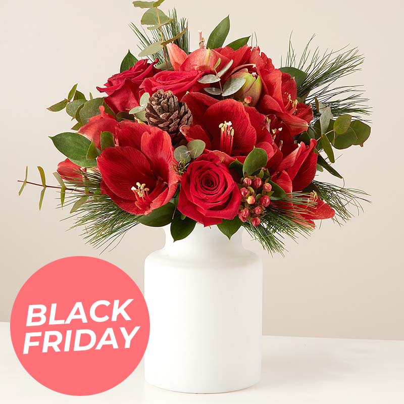 Jingle Bloom: Amaryllis y Rosas Rojas