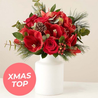 Jingle Bloom: Amaryllis und Rote Rosen