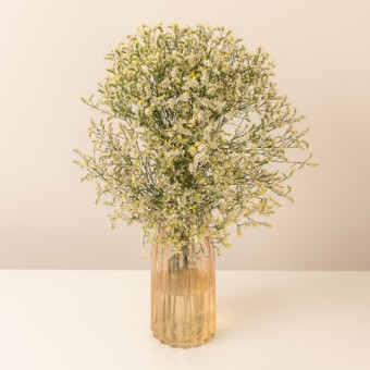 Happy Farewell: Limonium
