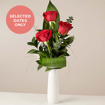 Recuerdo Romántico: Rosas Rojas