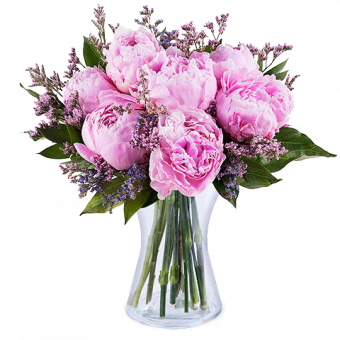Un Brin d’Innocence : Pivoines Roses