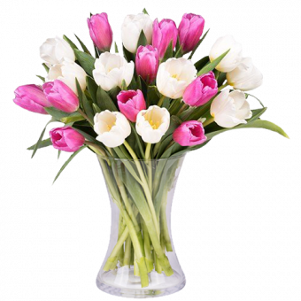 Sensations Printanières : Tulipes Roses et Blanches