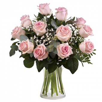 Pink Secrets: 12 Pink Roses