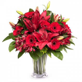 Tapis Rouge : Gerberas et Lys
