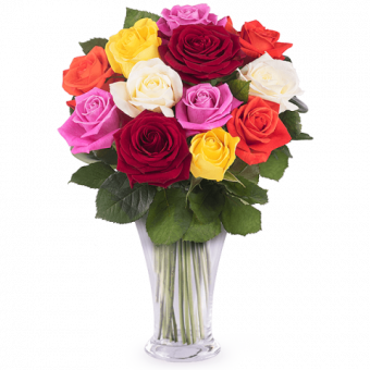 Sinfonia di Colori: Rose Multicolore