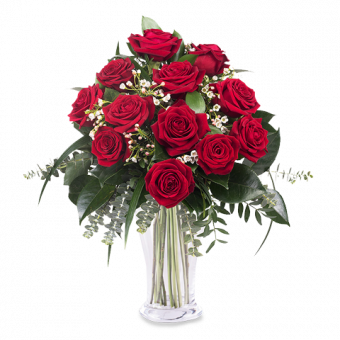 Amor infinito: 12 Rosas Rojas